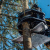 JAK-350R guillotine grab on excavator - an efficient solution for tree cutting