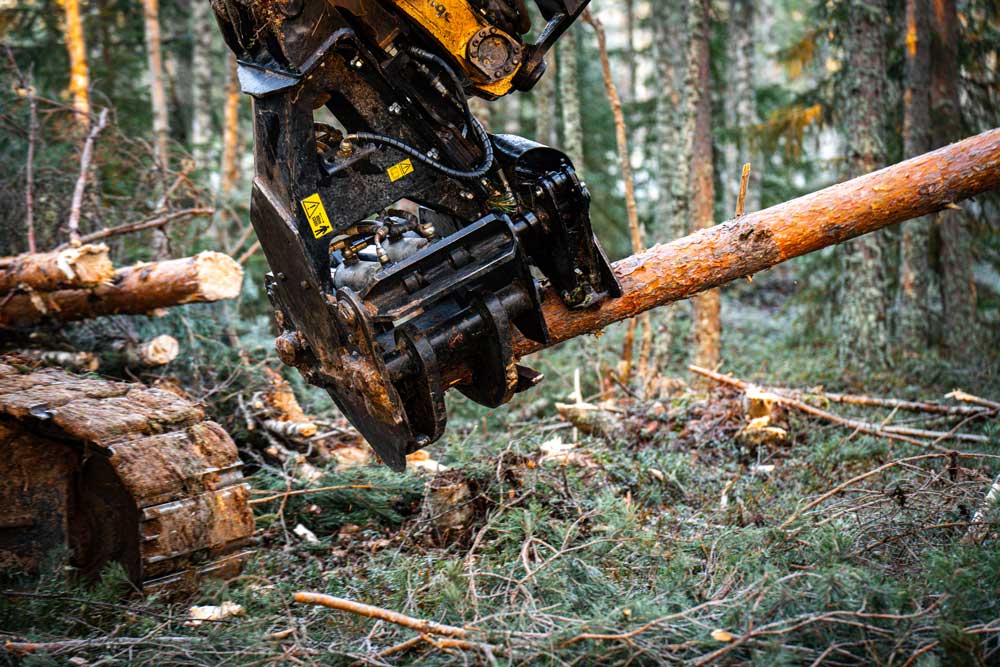 JAK-300B Grappin coupeur pour maintenir un pin coupé dans une forêt de conifères